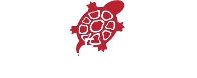 Franchise Turtle Jack’s